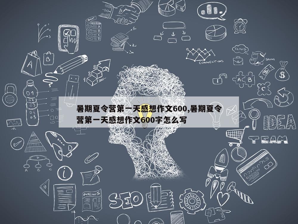 暑期夏令营第一天感想作文600,暑期夏令营第一天感想作文600字怎么写