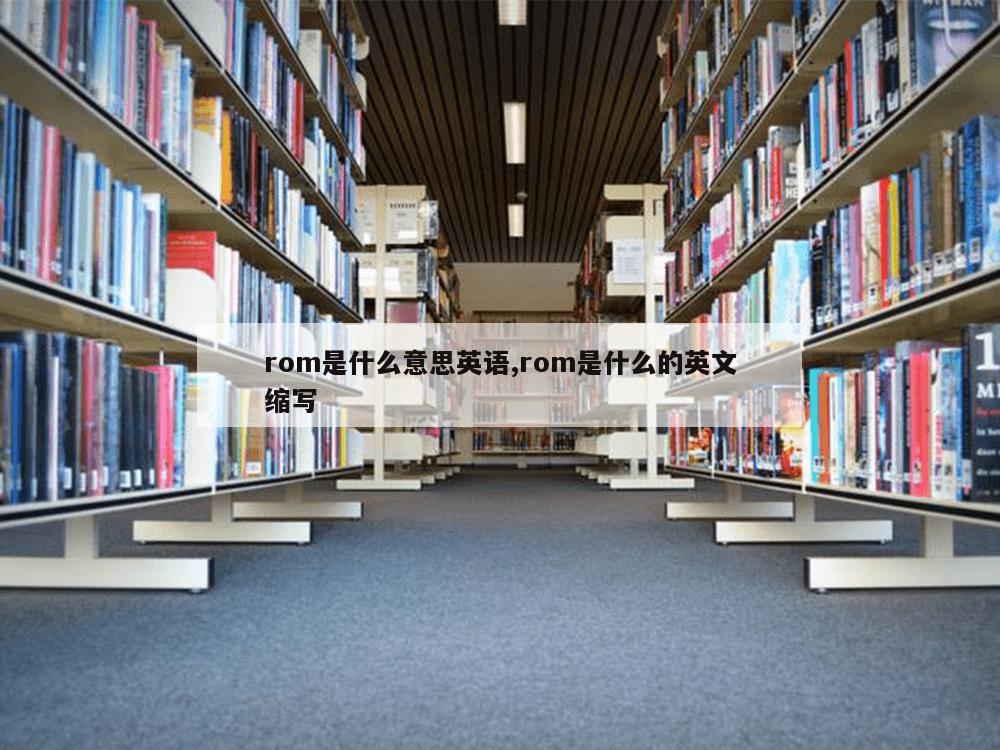 rom是什么意思英语,rom是什么的英文缩写