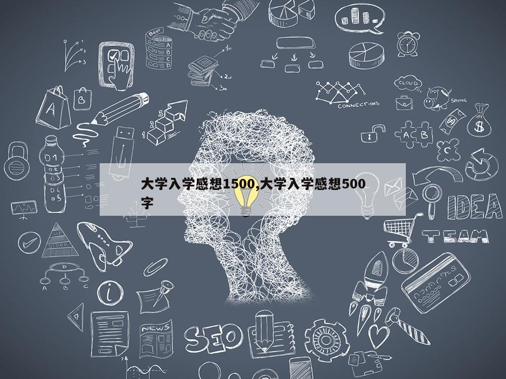 大学入学感想1500,大学入学感想500字