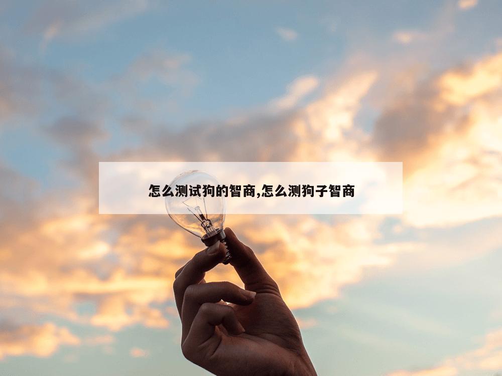 怎么测试狗的智商,怎么测狗子智商