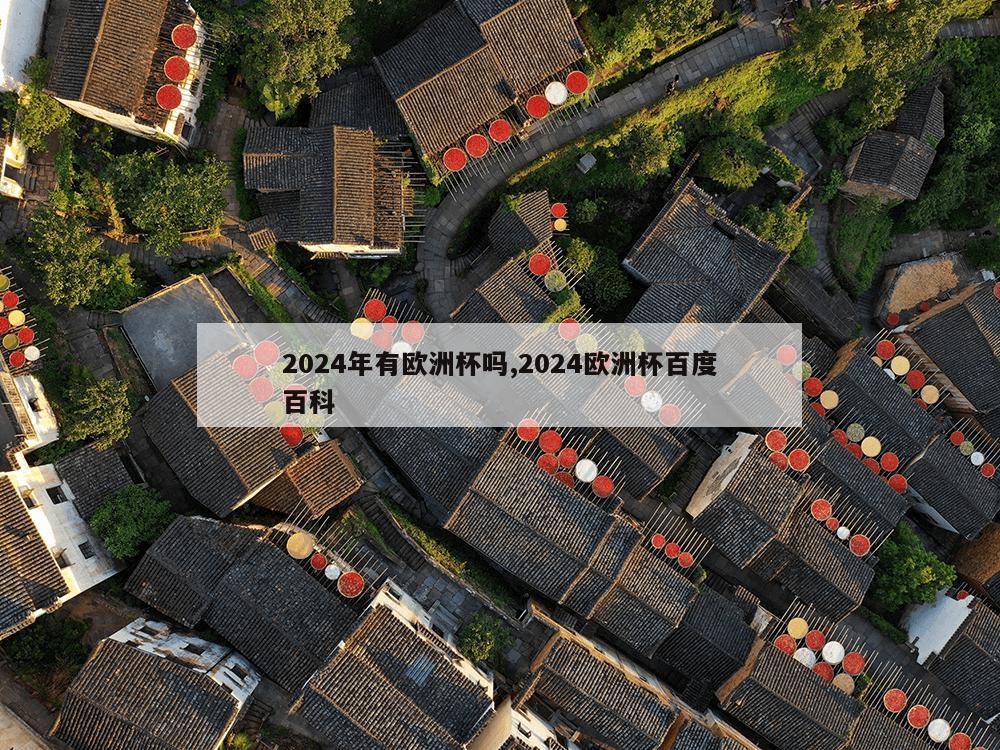 2024年有欧洲杯吗,2024欧洲杯百度百科