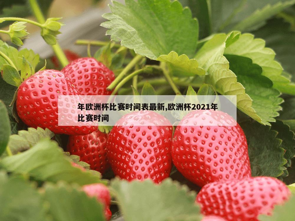 年欧洲杯比赛时间表最新,欧洲杯2021年比赛时间